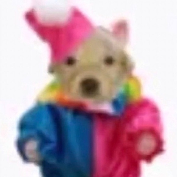 Meet your Posher, Axel - Picture 1 of 1